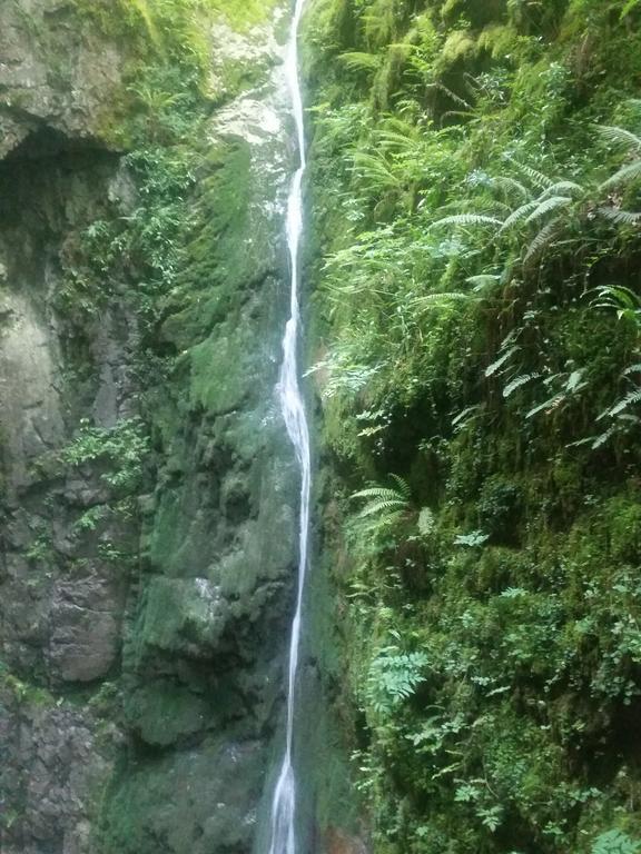 Urzainqui 阿尔特辟旅舍旅舍 外观 照片