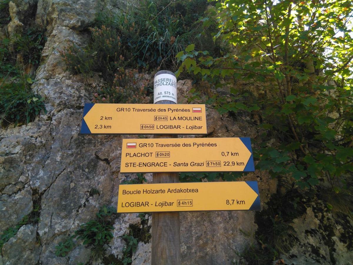 Urzainqui 阿尔特辟旅舍旅舍 外观 照片